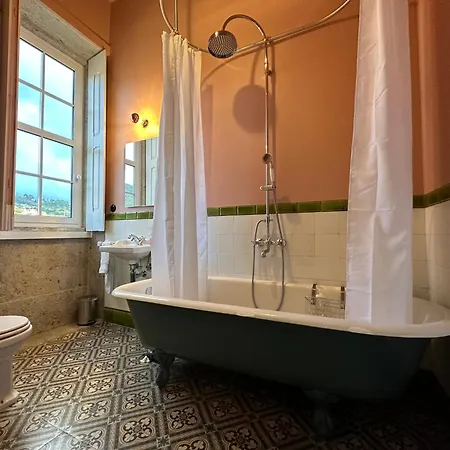 Casa Brandao Gæstehus Vale de Cambra